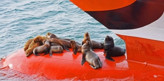 Aida Aura recibe el mejor beso en Argentina