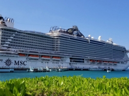 Msc Cruceros construirá una terminal mas grande en el Puerto de Miami Foto credit: The family cruise companion