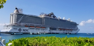 Msc Cruceros construirá una terminal mas grande en el Puerto de Miami Foto credit: The family cruise companion