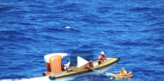 Crucero Regal Princess rescata a sobrevivientes de un accidente aéreo