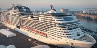 Msc Cruceros reiniciará sus operaciones en Japón en Abril 2021