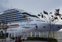 Por qué la mayoría de los cruceros son de color blanco?