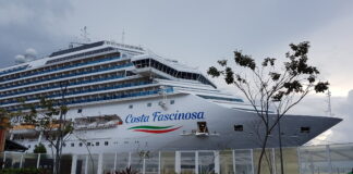 Por qué la mayoría de los cruceros son de color blanco?