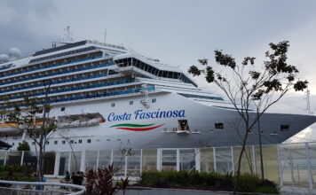 Por qué la mayoría de los cruceros son de color blanco?