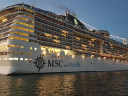 Cuál es el origen y significado del logotipo de MSC Cruceros?