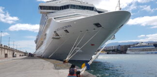 Las ratas y ratones no deben ni pueden viajar en cruceros