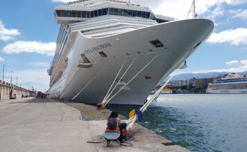 Las ratas y ratones no deben ni pueden viajar en cruceros