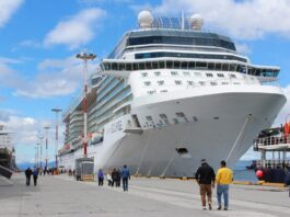 Aprueban protocolos sanitarios para la llegada de cruceros al puerto de Ushuaia