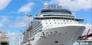 Aprueban protocolos sanitarios para la llegada de cruceros al puerto de Ushuaia