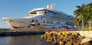 Cancelada la temporada del Norwegian Star en Patagonia, Antártida e Islas Malvinas
