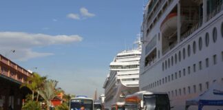 Anvisa recomienda la suspensión provisoria de la temporada de cruceros en Brasil