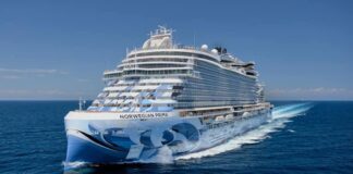 Norwegian Cruise Line elimina todas las medidas anti Covid en sus barcos