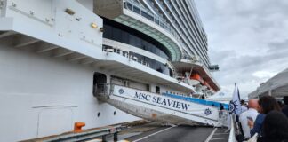 Msc Seaview arriba por primera vez al Puerto de Buenos Aires