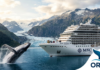 Msc Cruceros y Orca se asocian hacia un futuro marino sostenible