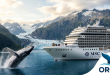 Msc Cruceros y Orca se asocian hacia un futuro marino sostenible