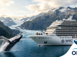 Msc Cruceros y Orca se asocian hacia un futuro marino sostenible