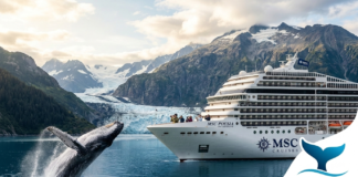 Msc Cruceros y Orca se asocian hacia un futuro marino sostenible