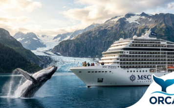 Msc Cruceros y Orca se asocian hacia un futuro marino sostenible